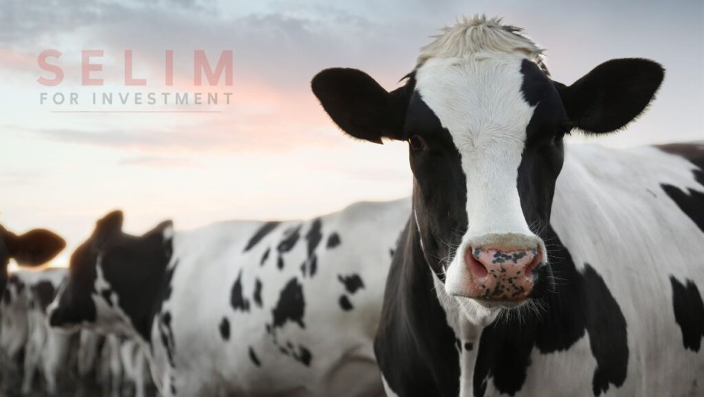 Untitled 1240 x 700 px 1 1024x578