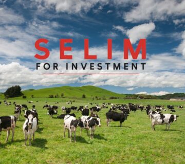 Untitled design 28 360x320