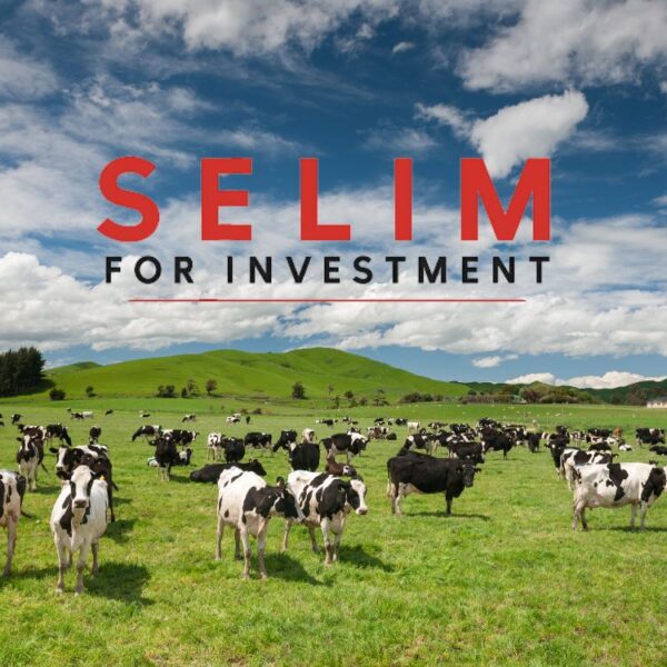 Untitled design 28 600x600