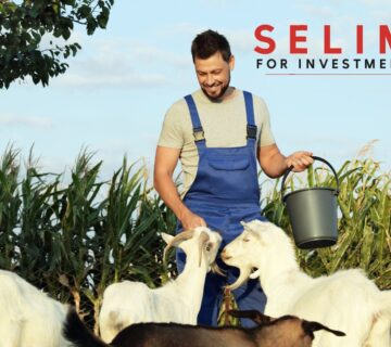 Untitled design 30 360x320