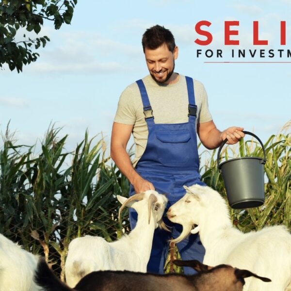 Untitled design 30 600x600