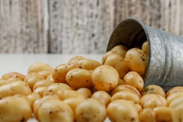 🥔 البطاطس المصرية – أساس كل وجبة الصورة 3